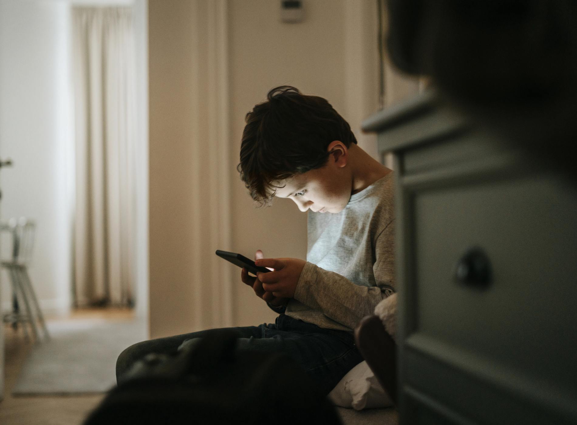 Boy playing videogames at home