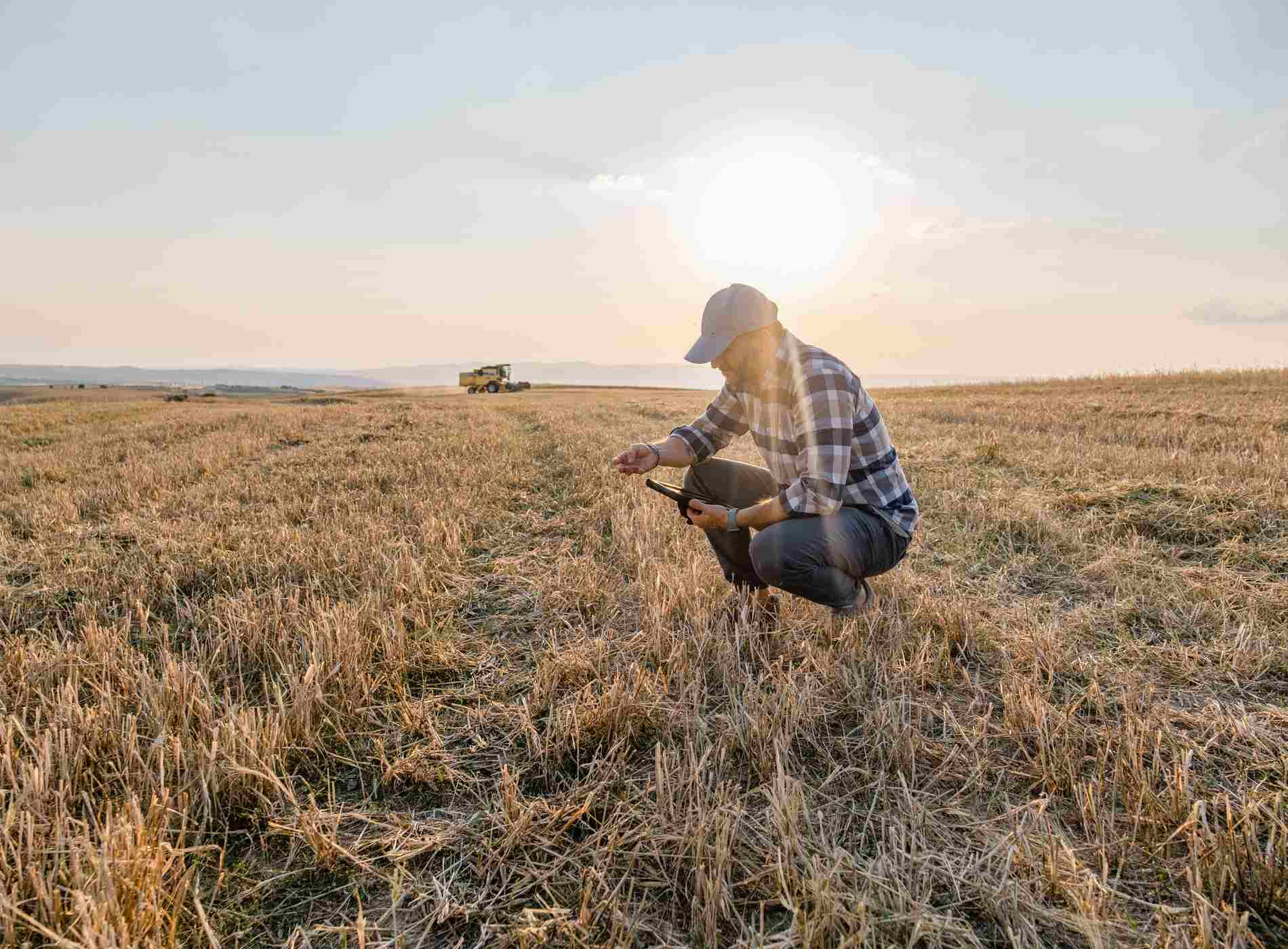 Male Farmer is Holding a Digital Tablet in a Farm Field. Smart Farming