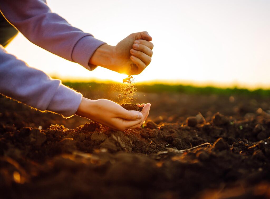 Female hands touching soil on the field at sunset. Agriculture, organic gardening, planting or ecology concept.